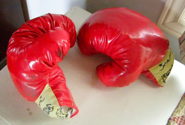 Boxing MMA Martial Arts Punching Bag & Gloves in Exercise Equipment in Ottawa - Image 8