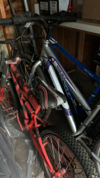 Selling 2 bicycles