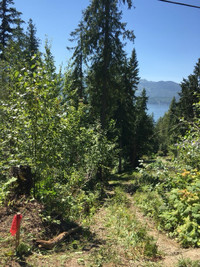 Shuswap lake lot