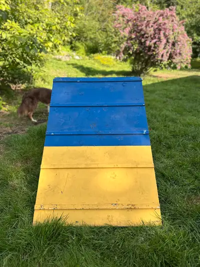 Agility Training Contact, View more