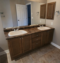 Bathroom Vanity