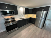 Large 3 Bedroom Apartment  Fully Renovated w all new appliances