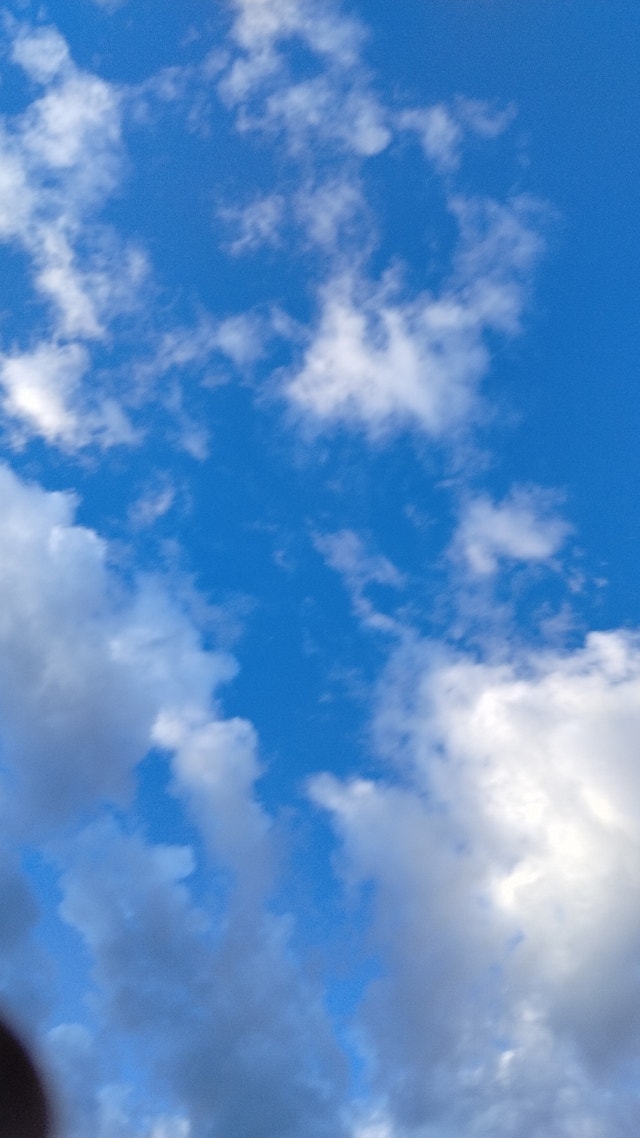 Roofing Construction & Trades Calgary Kijiji