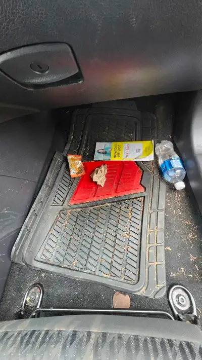 Mobile Auto Detailing At your doorstep, View more