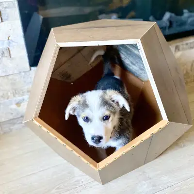 Geometric PET PODSide Table $180, View more