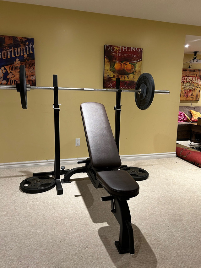 Home gym in Exercise Equipment in Oakville / Halton Region
