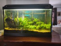 Fish tank for sale*