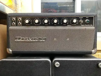 Traynor YGA-1 Vintage Guitar Tube Amp, View more