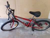 20 inch kid's bicycle
