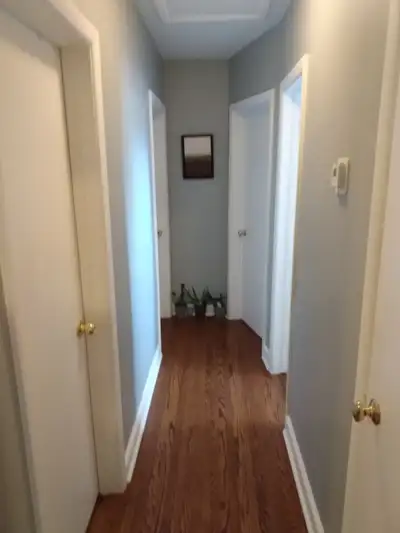 Room for rent near Algonquin College