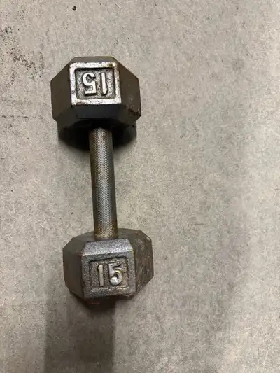 15lbs dumbbell , View more