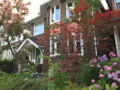 Annex Three Bedroom Beauty