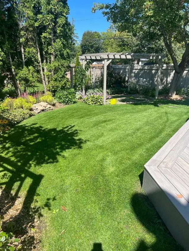 Apollo Property Maintenance Barrie
