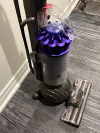 Dyson Vacuum cleaner. Ball Animal 2