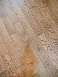 Solid 3/4" thick x 3 1/4" wide Oak Flooring