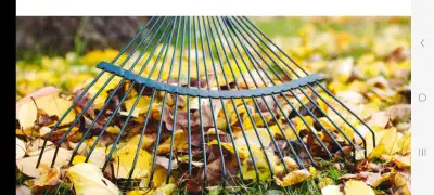 ****Fall Clean Ups/ Snow Removal Call Now ****, View more