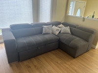 Couch/Furniture