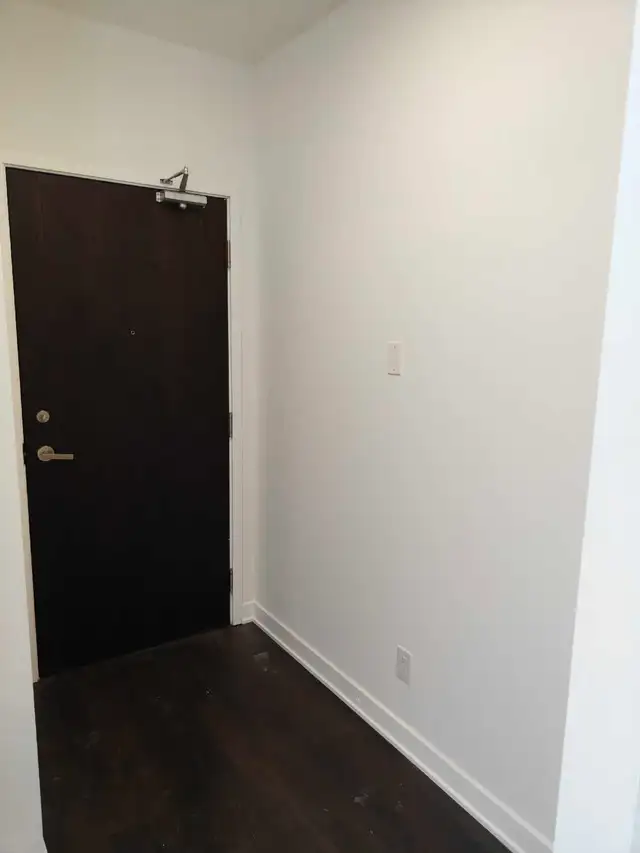 professional painter services to refresh557928355233812484