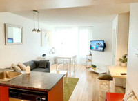 3 1/2 downtown - furnished - 1st June