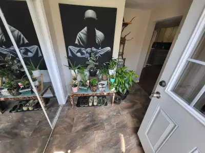 2 Bedroom Basement Apartment – Student Sublet (Sept 2026 – March 2027) Perfect for University of Gue...