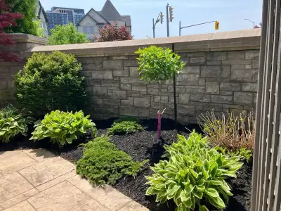 Landscaping  ✅ GTA, View more
