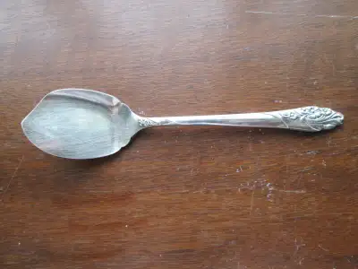 Evening Star, View more