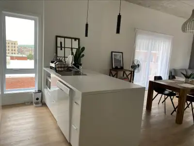 3 1/2 neuf, tout meublé, tout inclus, gym, balcon, terrasse