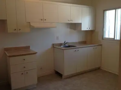 3816 Rue Claude Montréal, QC H4G 1H1 3 1/2 a louer avec une chambre fermée, très propre, renove, pro...