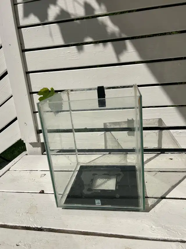 Aquarium  in Accessories in Laurentides - Image 3