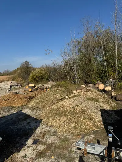 Tree Removal , View more