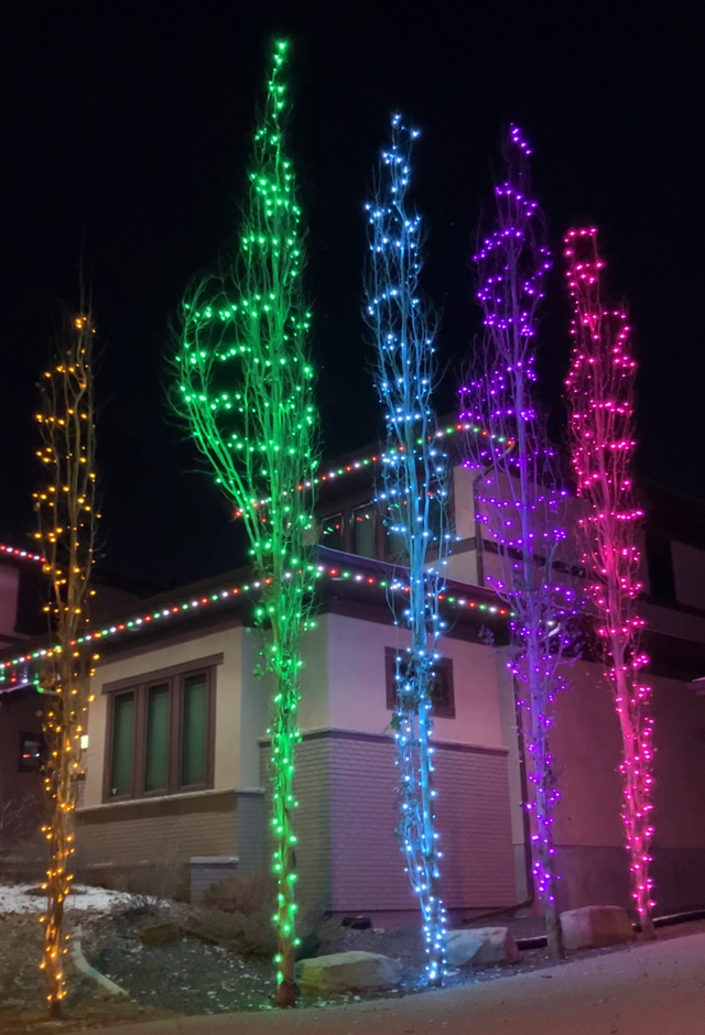 Mop Monkeys | Professional Christmas Light Installation