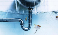 Meticulous, fast and fair rates, certified Plumber, 20+ exp