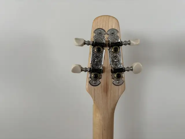 Seagull Merlin in Guitars in Laurentides - Image 5