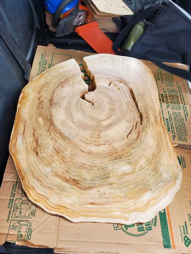 Custom Wood Projects  in Hobbies & Crafts in Regina - Image 4