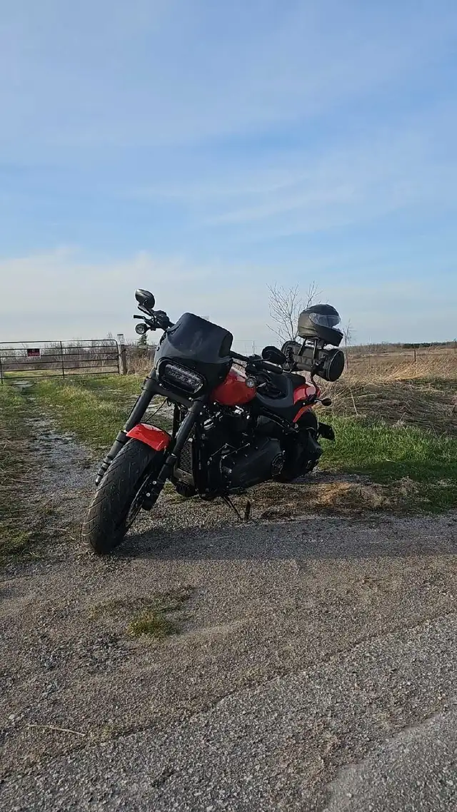 harley davidson fat bob in Street, Cruisers & Choppers in Kawartha Lakes - Image 8