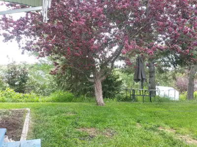 Lawn and garden care including seeding and gardens and weeding services. Please call or txt250-617-2...