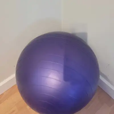 Exercise Ball, View more