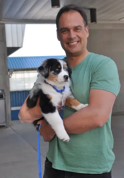 Toronto Dog & Puppy Trainer, View more