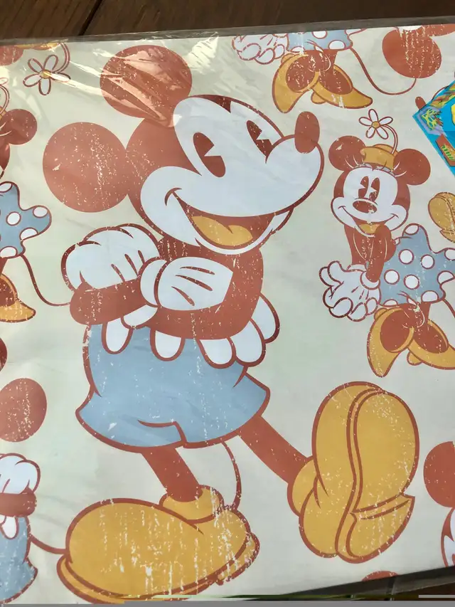 Disney Gift Wrap Box Mickey Mouse Present 65170903404674122