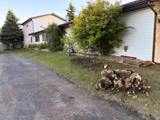 MINI EXCAVATOR SERVICES – CENTRAL ALBERTA 489984706343096322