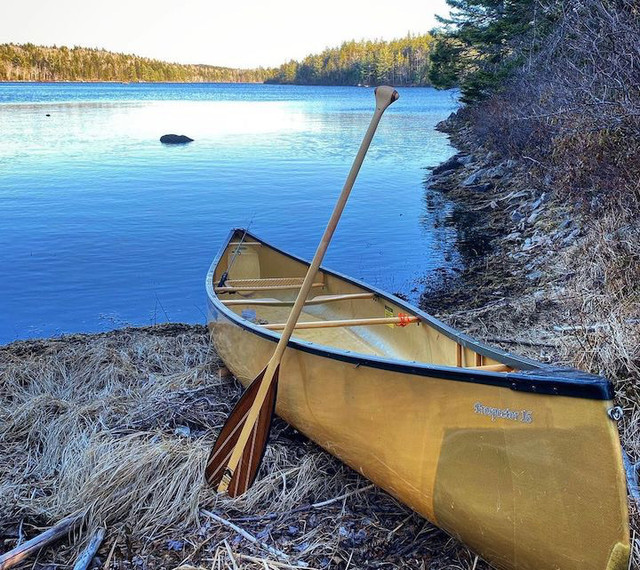 Looking For a Canoe in Canoes, Kayaks & Paddles in Sault Ste. Marie
