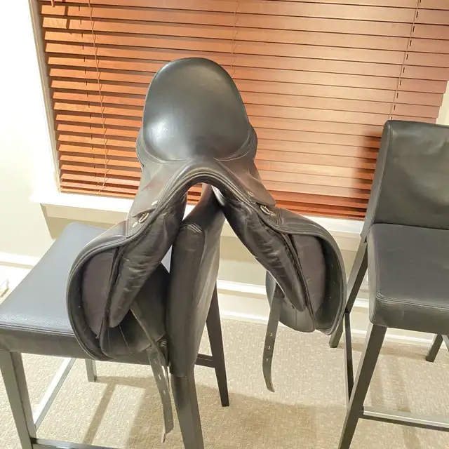 Hanover by Verhan Saddle64849799747203123