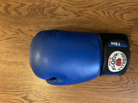 Bloor Fitness 12 oz. Adult Boxing Glove right hand only