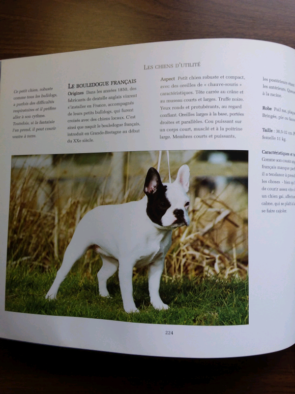 LIVRE L'ESSENTIEL DES CHIENS in Accessories in Lanaudière - Image 8