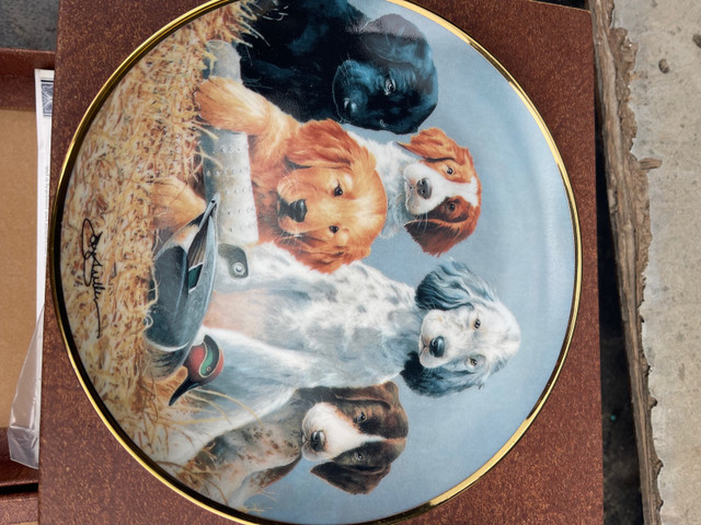 Collectable plates  in Arts & Collectibles in Sault Ste. Marie - Image 2