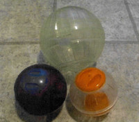 Exercise Balls and Spinner Wheels for small pets