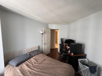 Downtown Toronto Summer Sublet