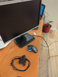 Laptop JiErgonomic mouse HP monitor  web cam