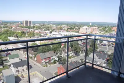 One private room in a three bedroom apartment is available from 1st April, located in Hamilton downt...