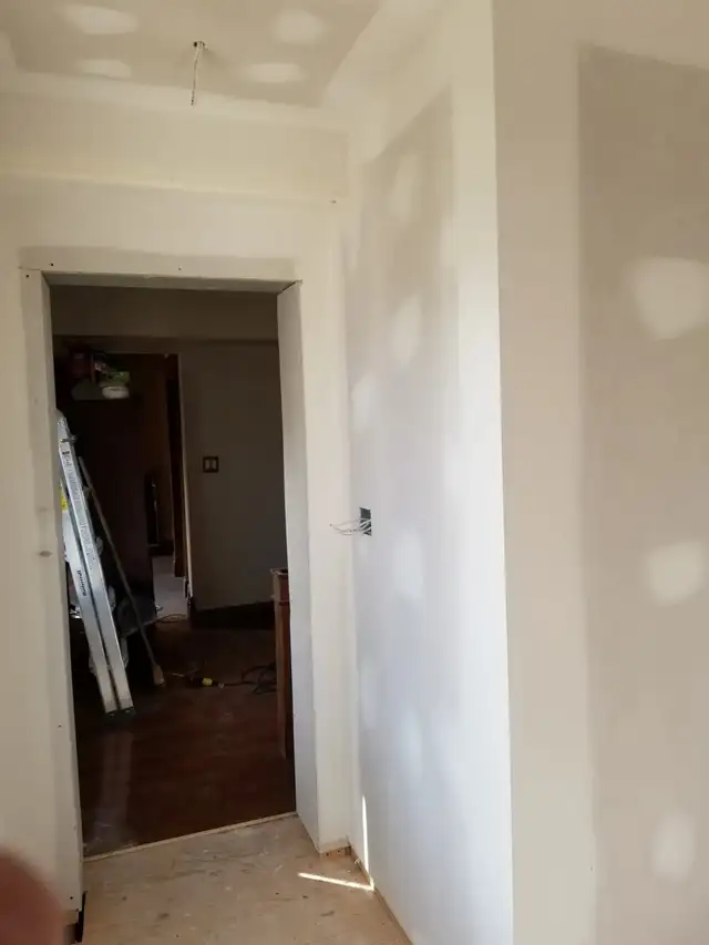 Professional Painter63735895291139120